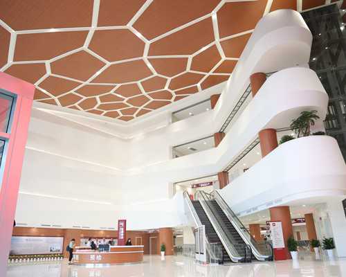 古玩人生小说全本免费阅读_玉龙凤纹柄形器