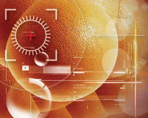 去香港验血的费用_香港验血查男女准不准?_验血哪个机构最权威!