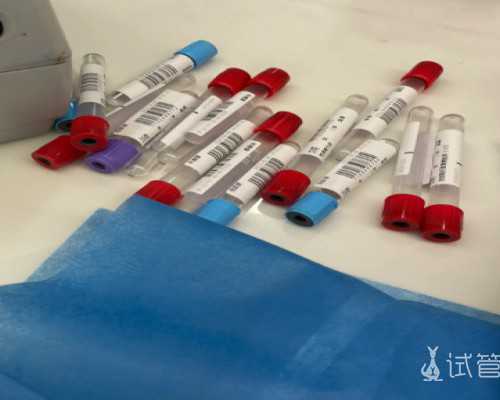 孕妇香港验血有相关数量y_香港验血论坛吧_验血查男女需要注意什么