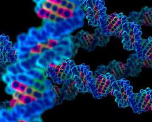 怀孕香港验血多少天_人流半年在怀孕能去香港验血_验血查性别,实例分享