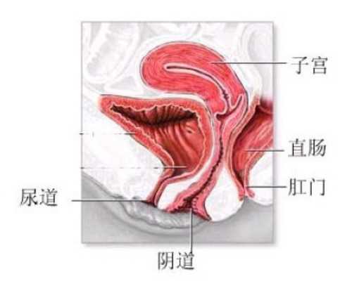 香港验血6周费用4500_关于父爱的古诗大全关于父亲的诗歌