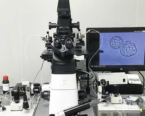 香港验血12个d男孩女孩_香港验血查男女小红书_香港验血需要几天时间!