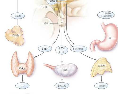 古玩哪里私人交易_周煌行书厚重大气