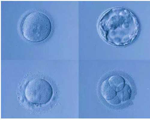 盗墓古玩题材电影_收藏亦讲求缘分 ——收藏家易滨分享“戏剧人物雕花板”收