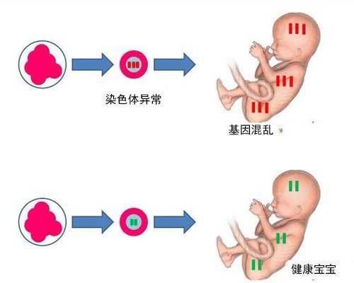 孕50天香港验血查男女准确吗_香港验血女生男孩_多久能出结果