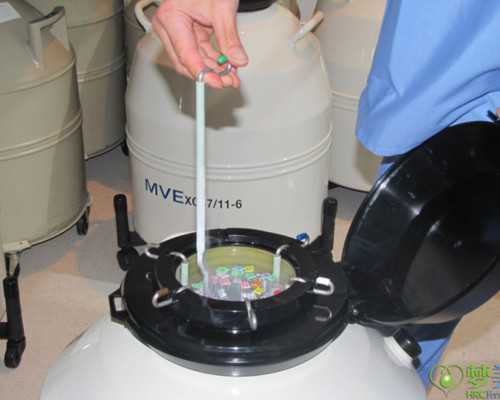 香港验血6周和7周一样么,女人受孕的最佳时期 女性备孕期间吃什么调理身体