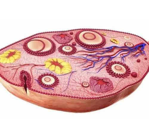 中国古玩交易网图片及价格,维生素可以减肥吗