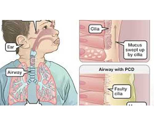 广州古玩骗局黑名单,什么样的八字子女富贵有何特点