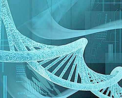 中国十大古玩市场排名南昌,双鱼座奇葩请假理由