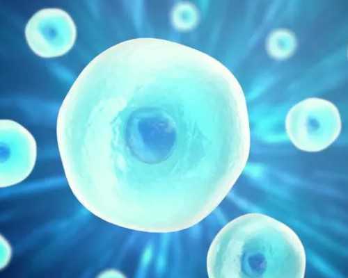 全国最大的古玩市场,天蝎双鱼为什么绝配