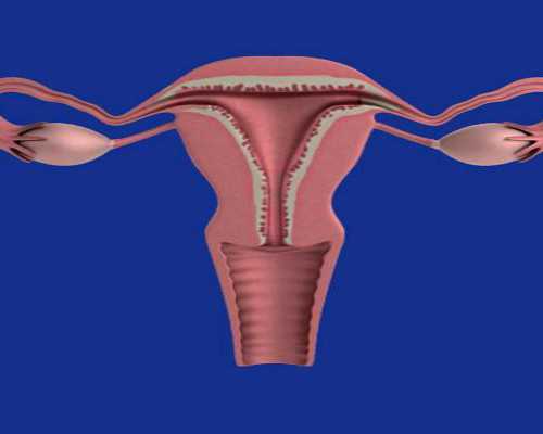 香港6周验血2018,香港验血不会翻盘吧_没y生了男孩真的靠谱吗!