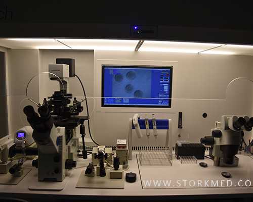 香港验血多久可以做,验血香港什么时候验最佳_测性别哪家化验所权威!