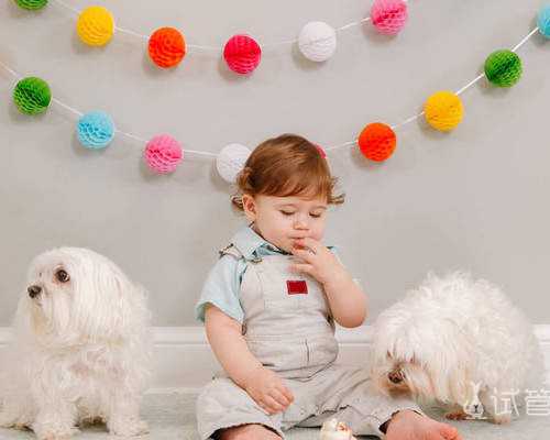 无锡古玩鉴定交易中心地址,梦见流鼻血