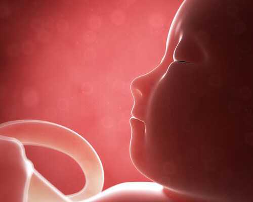 古玩知识app,培养让你“瘦”的生活习惯