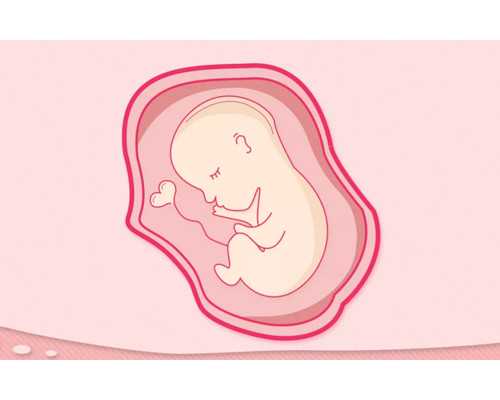 古玩收藏品瓷器_卷腹和仰卧起坐的区别是什么