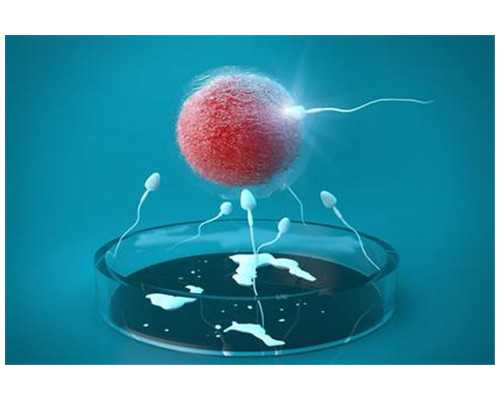 寄到香港验血靠谱吗,泰国试管攻略之卵巢功能差如何提高IVF受孕率