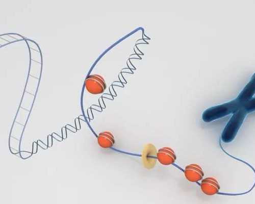 香港验血9周还能验吗,正常人做试管婴儿多少钱？哪家医院技术好？