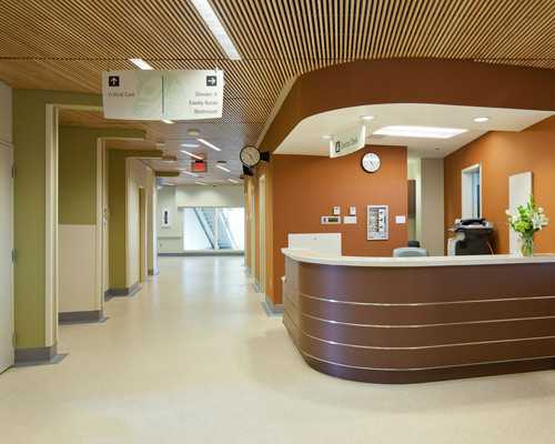 成都个人古玩收购骗局_婴儿右下肺炎症严重吗