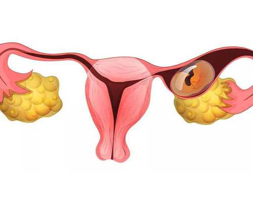 古玩虫电视剧39集完整版免费5,表面不配其实是最配的星座情侣