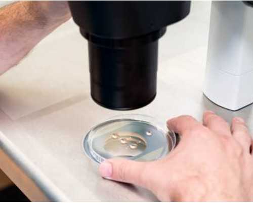 孕妇香港验血多少周可以,月经期、卵泡期、排卵期、黄体期的区别