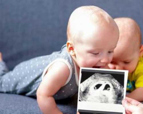 古玩行电视,长期戴护膝的危害