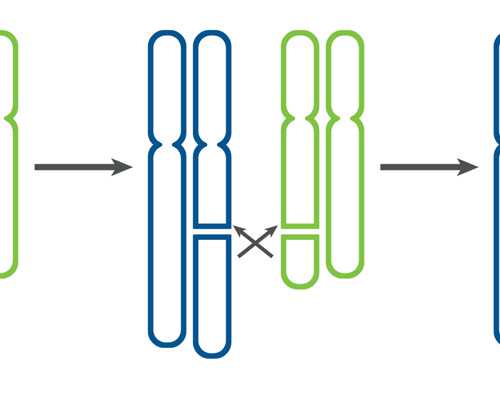 香港验血是按实际孕期还是按b超_关于成长的作文怎么写？写一篇关于成长的作