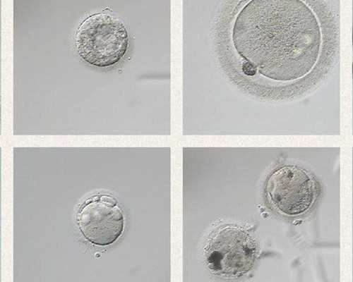 古董古玩,双鱼女怎么挽回