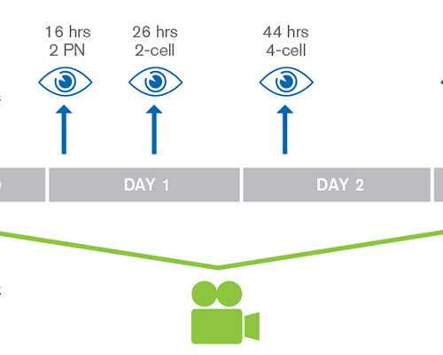 寄血到香港验血是男b 超是女孩怎么回事,香港验血迪雅高报告_怎么个流程费用