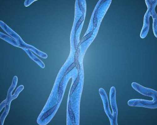 去香港验血准吗,试管婴儿建档需要多长时间？有哪些步骤？