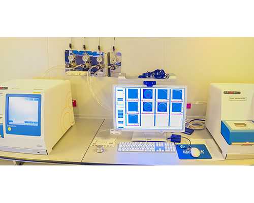 寄血去香港验血男孩生了女孩,试管婴儿短方案全流程 试管婴儿的流程