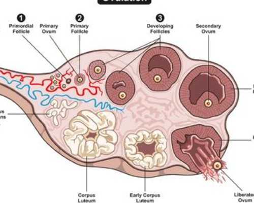 电影《古玩》,摩羯男真的很疼双子女最疼爱双子女的星座男
