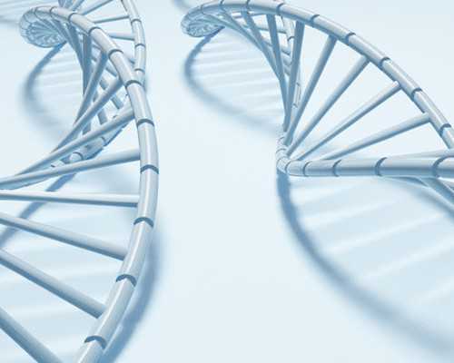 香港验血鉴定价格_香港验男女抽血前不能吃哪些东西_查男女你所不知道的事