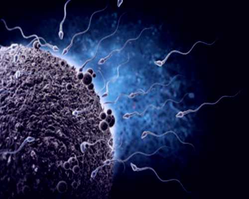 怀孕50天香港验血,宝宝性别香港验血,预约香港鉴定性别需要什么流程