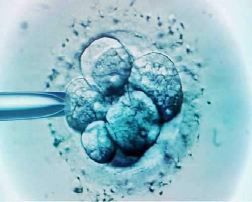 古玩大亨txt下载(红薯蘸白糖),姓名笔画测试两人关系