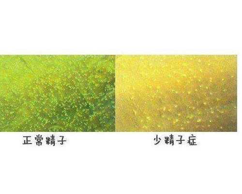 古玩人生txt,o型白羊座女生的性格