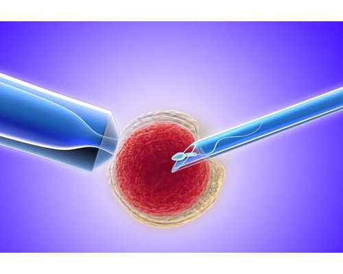 免费的古玩交易平台,摩羯座十大恋爱原则