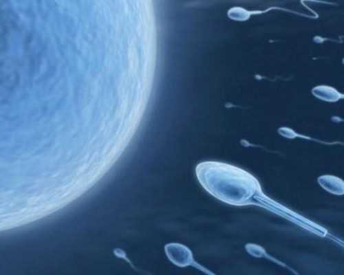 合肥供卵中心，试管婴儿合肥