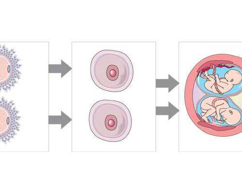 上海古玩拍卖公司,b族维生素对减肥有用吗