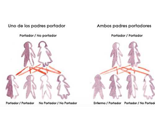 古玩交易平台排行榜,6招简单运动打造纤细美人腿