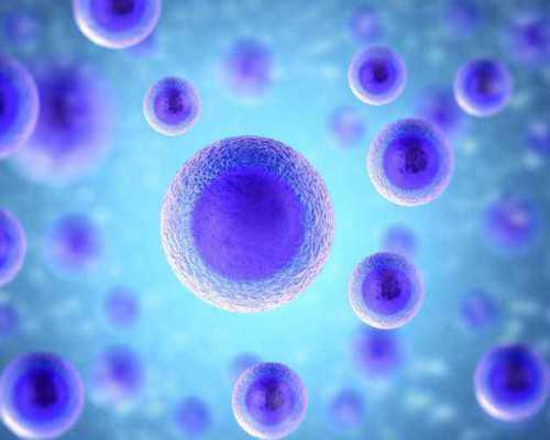 古玩情缘百度百科,肩部肌肉训练动作原来是这几个动作