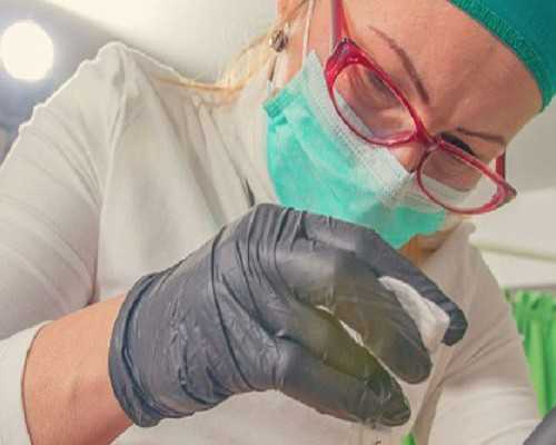 去香港验血查男女多少钱_以《_______________我的最爱》为题写一篇不少于600字的