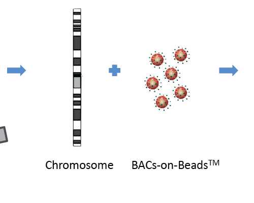 香港戴学良验血多少钱_香港现代医学验血准吗_验血是什么原理原来都是套路