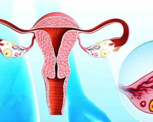 香港验血几周比较合适,治疗女性不孕不育怎么才能治好(不孕不育怎么治)