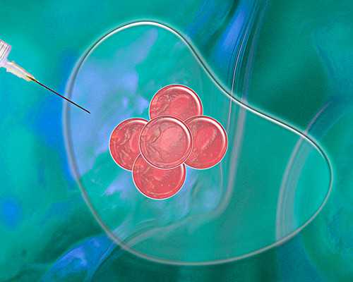 香港验血找黄伟忠_验血查男女100%的准吗？过程有惊无险