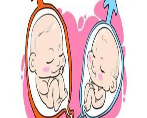 现在孕五周就可以香港验血,据说这些因素会影响生男生女，备孕中的你要注意