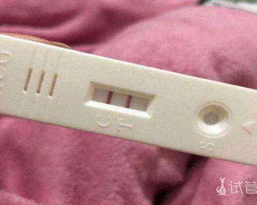 古玩瓷器包装盒,属马白羊座和属牛水瓶座最配吗感情运势解析