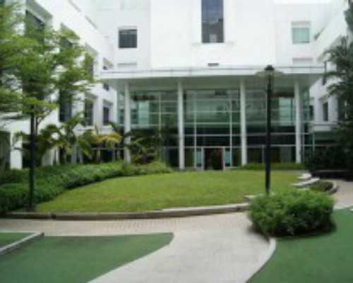 怀孕多久可以到香港验血是儿是女,流产后多久可以再孕?女性流产后吃什么可以