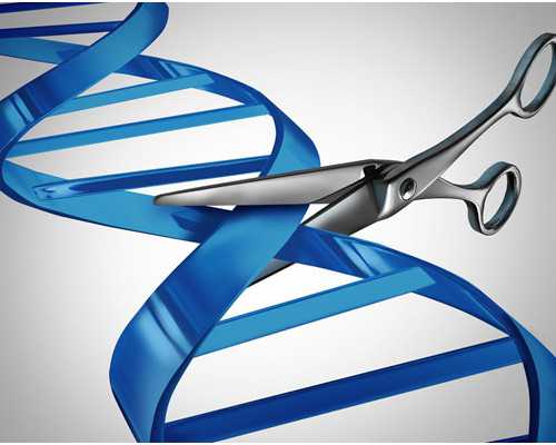 香港验血能邮寄血,这三种行为是导致女性不孕不育原因,女性不孕11步排查