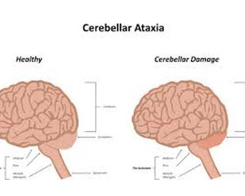 去香港验血需要多少钱_中学生怎样学好语文 学好语文的十个方法四年级怎样学