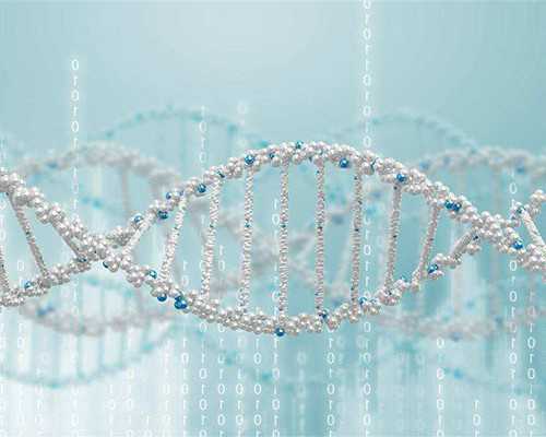 香港验血十周会太晚吗,AMH值0.61能自然怀孕吗，不能的话做试管成功的希望大吗